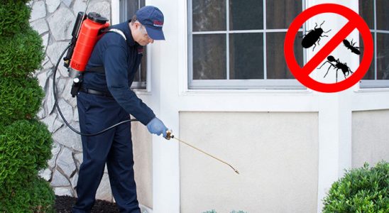 Muratlı Bit İlaçlama böcek ilaçlama ve haşere kontrolü — ilaclama-tr.com